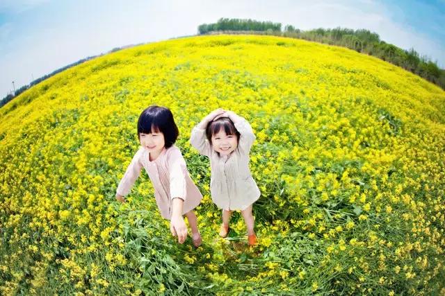 用VR看花海是种怎样的体验?这周就去免费看~