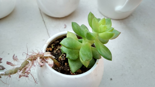 699元红米手机推荐,2900元左右续航好的手机