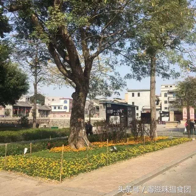 沙湾古镇详细讲解,感受一下沙湾古镇的慢生活