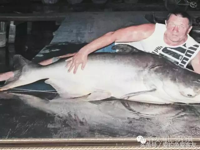 泰国巨骨舌鱼钓场位置,泰国钓鱼钓巨物位置