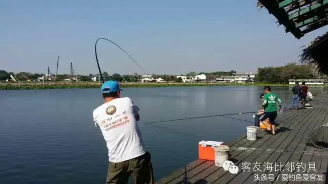 泰国巨骨舌鱼钓场位置,泰国钓鱼钓巨物位置