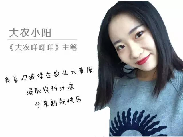 农业种植铺地膜有必要吗,种植农作物盖透明地膜好吗