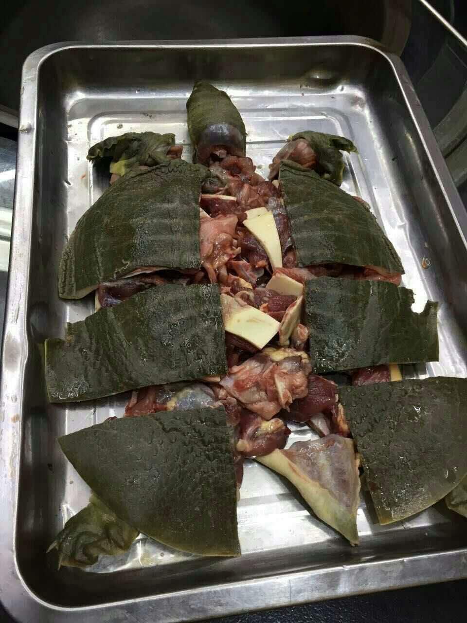 现杀现炖特色甲鱼,外面杀好的甲鱼怎么做