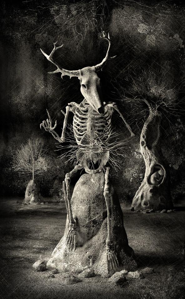 最美的科学图片大全,100个经典科学视觉图