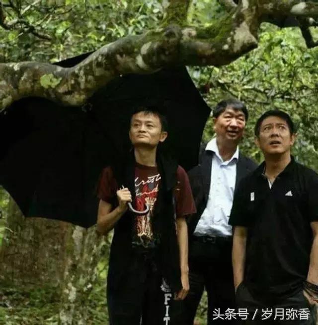 老缪说茶价格表,老缪讲茶会