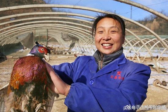 中国诚信企业家年度表彰盛典,诚信晋商人物