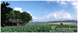 人间天堂杭州好美,杭州人间天堂的美景