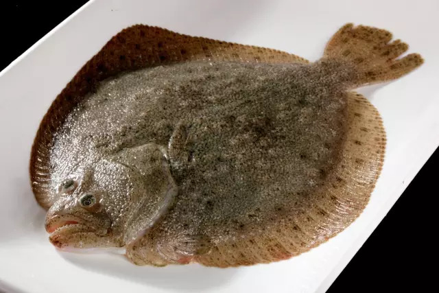 多种海鲜好吃美味来了解一下,海鲜美食大汇总