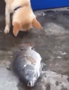 终于知道怎样跑才跑得快,知道这些学车技巧驾考轻松过