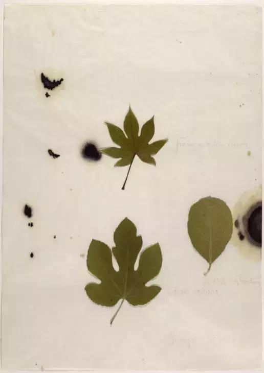 约瑟夫·博伊斯人人都是艺术家,人人都是艺术家这句话是谁说的