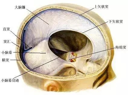 减轻头痛的偏方,有没有什么办法可以减轻头痛