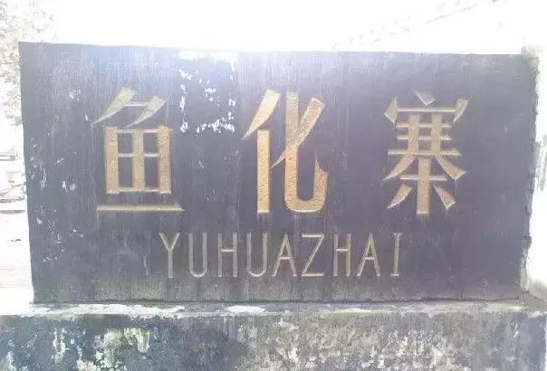 每一个与鱼化寨国际有染的人,都曾对这个小香港有难以言表的热忱