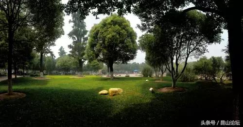 厉害了昆山陆家,厉害了江苏