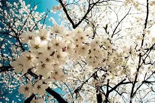 厉害了昆山陆家,厉害了江苏