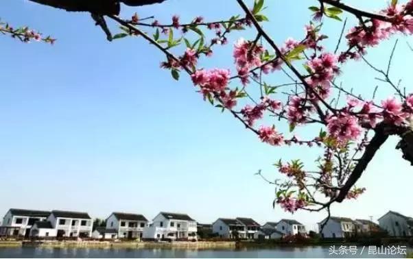 厉害了昆山陆家,厉害了江苏