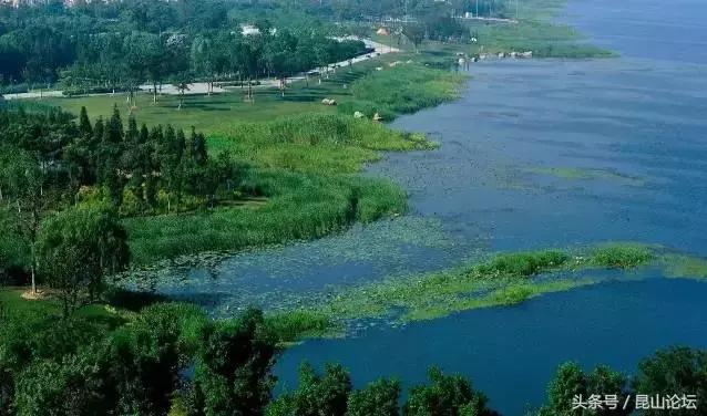 厉害了昆山陆家,厉害了江苏