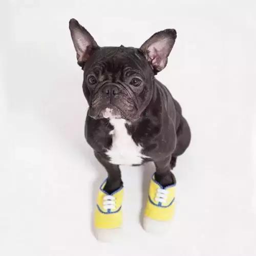 拒绝烂街运动鞋,拒绝烂大街完整版