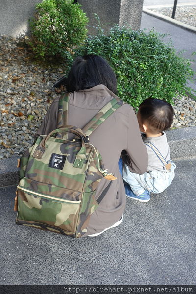 纯母乳断奶前我们应该做什么工作,母乳怎么戒最快最有效