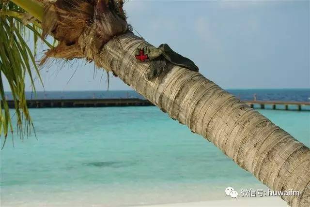 其实，你买了一双假袜子鞋小编告诉你什么是真正的“纯袜子鞋”