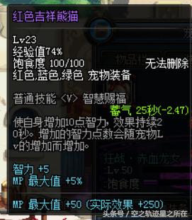 dnf特别快递礼盒宠物,dnf特别快递宠物礼盒哪个好看