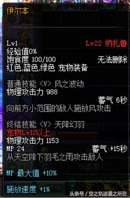 dnf特别快递礼盒宠物,dnf特别快递宠物礼盒哪个好看