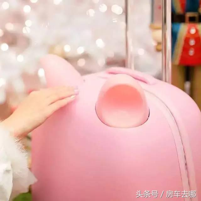 女王，你该把旅行托付给这样的旅行箱