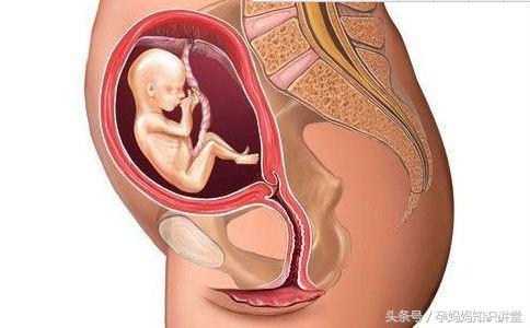 妊娠33~36周的注意事项