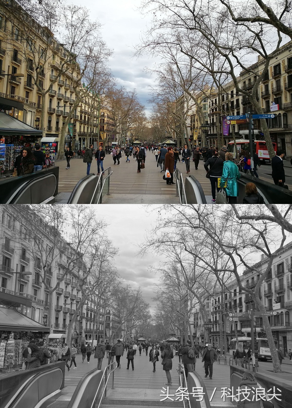 p10拍照评测,p10plus拍照