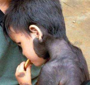 负心汉发现妻子的秘密,痴情丈夫背后隐藏内情