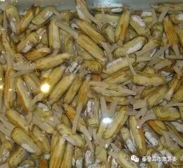 秦皇岛人吃螃蟹,秦皇岛海鲜什么时候吃最好