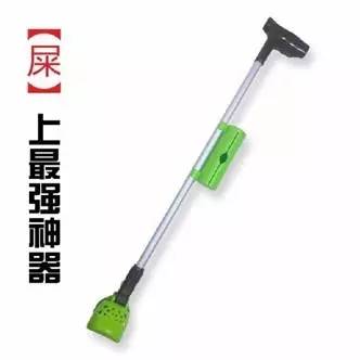 小区很多野狗,小区到处都是狗粑粑谁来管