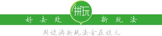 用VR看花海是种怎样的体验?这周就去免费看~