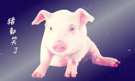 再次回味当年红极一时的网络歌曲,猪都笑了原版歌曲在线听