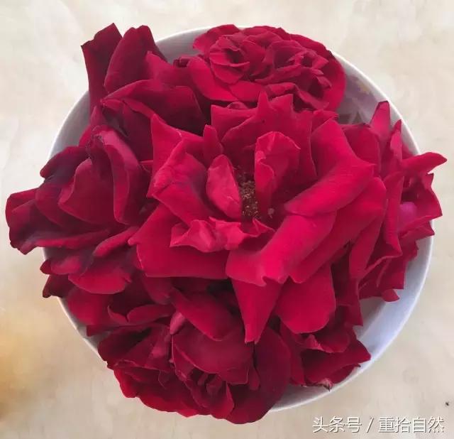 第三朵玫瑰｜鲜花饼里的“墨红”