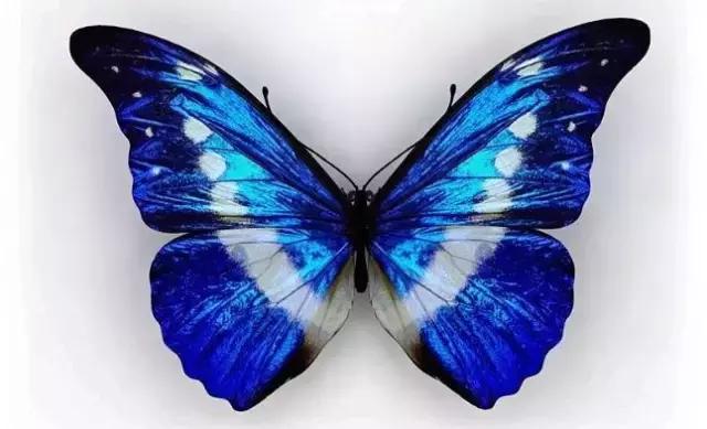 减轻头痛的偏方,有没有什么办法可以减轻头痛