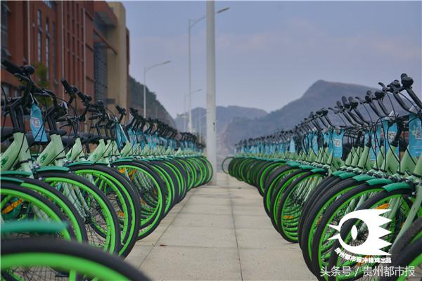 贵阳组团骑共享单车,贵阳投放共享单车能骑多远