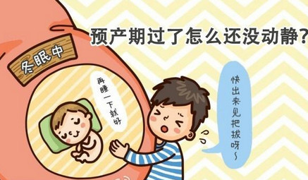 宝宝到了40周还不发动怎么办,瓜熟蒂落胎宝宝不愿意出来