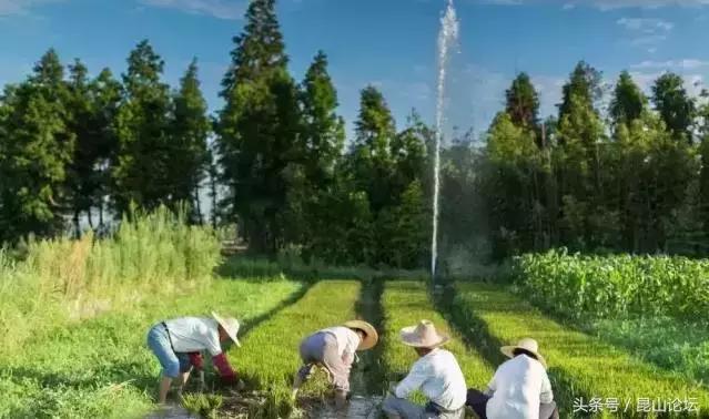 厉害了昆山陆家,厉害了江苏