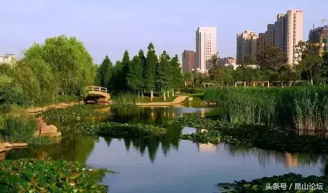 厉害了昆山陆家,厉害了江苏