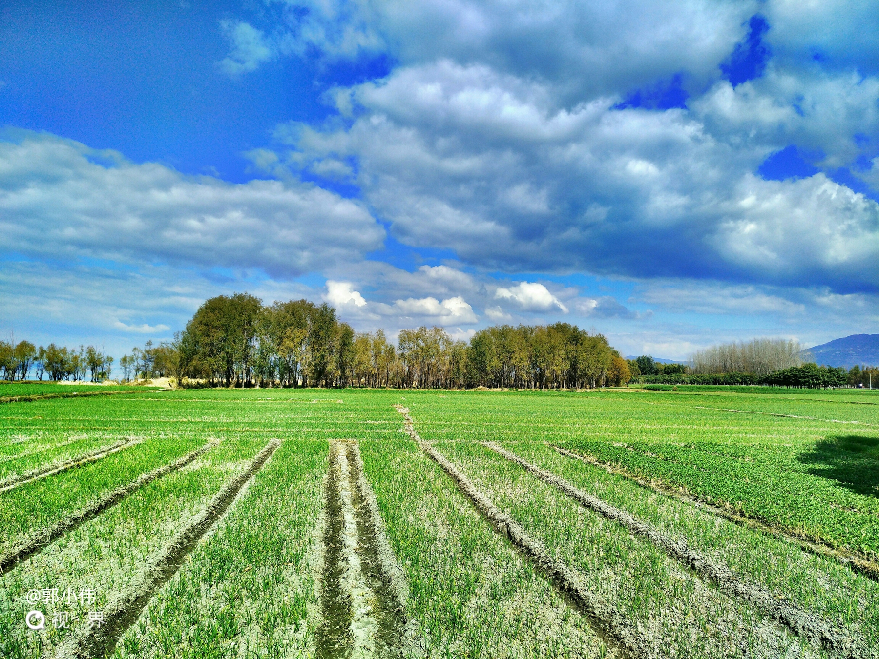 努比亚z50ultra和努比亚z50spro拍照,努比亚z30pro拍照和苹果拍照对比