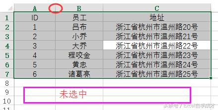 excel表格列宽不能调整怎么办,excel快速调整行高或列宽技巧