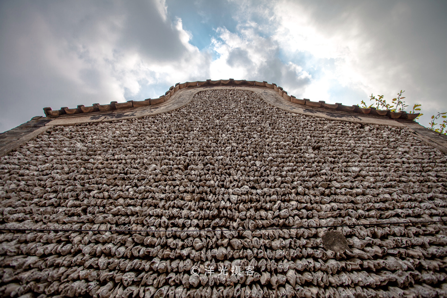 有人说榕树容财不容人是什么意思,榕树不容人的迷信说法