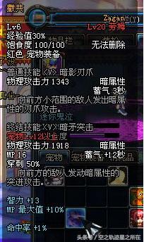 dnf特别快递礼盒宠物,dnf特别快递宠物礼盒哪个好看