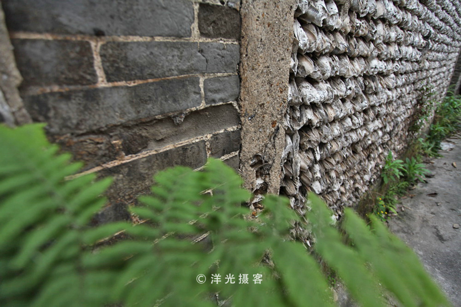 有人说榕树容财不容人是什么意思,榕树不容人的迷信说法