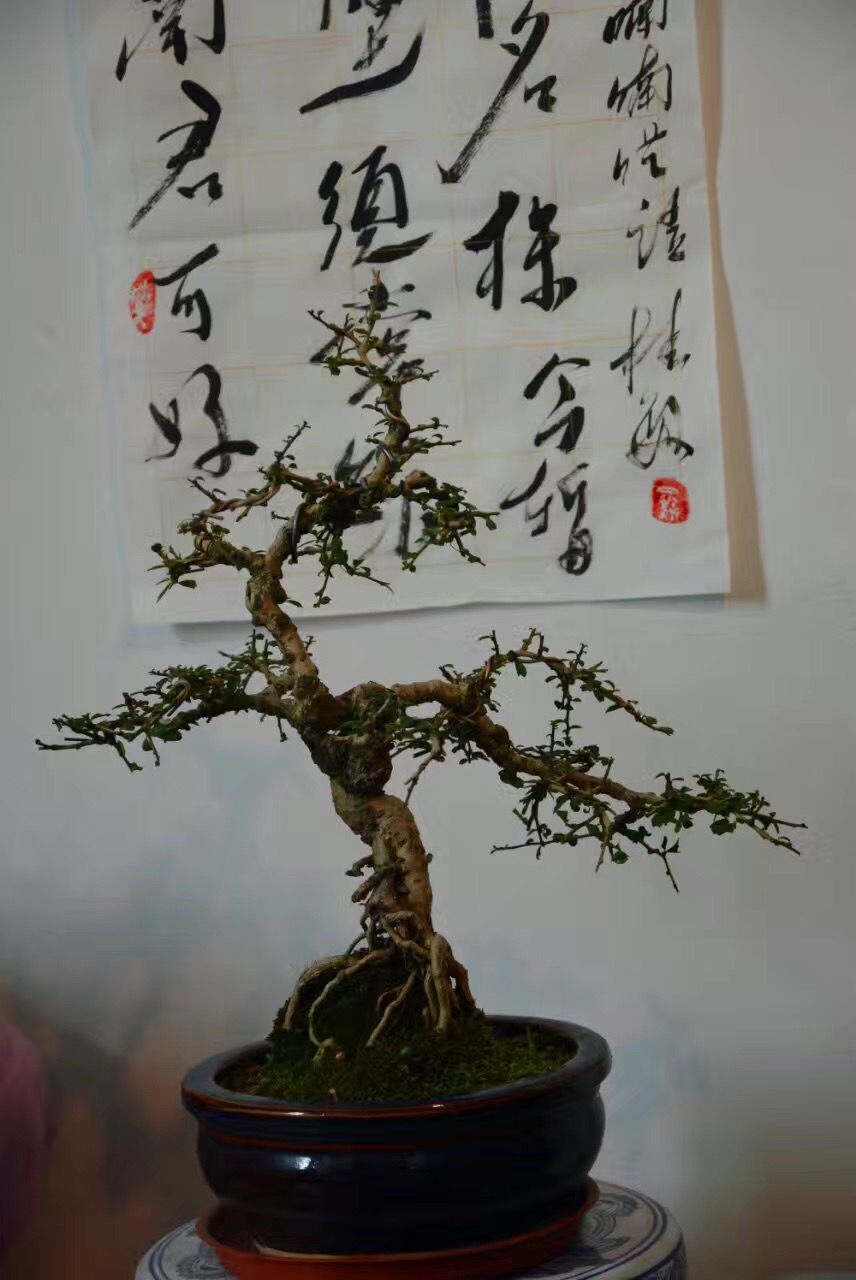 骞夸笢娼窞鍑ゅ嚢闆尪,娼睍闆尪