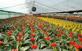 2017年下一个蓝海在农村，马上挣到人生的第一桶金