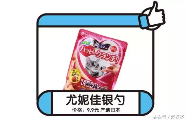 宠物洁牙方法,无麻醉宠物洁牙教程