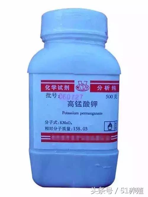 对虾纤毛虫处理方法,对虾有纤毛虫有什么影响吗