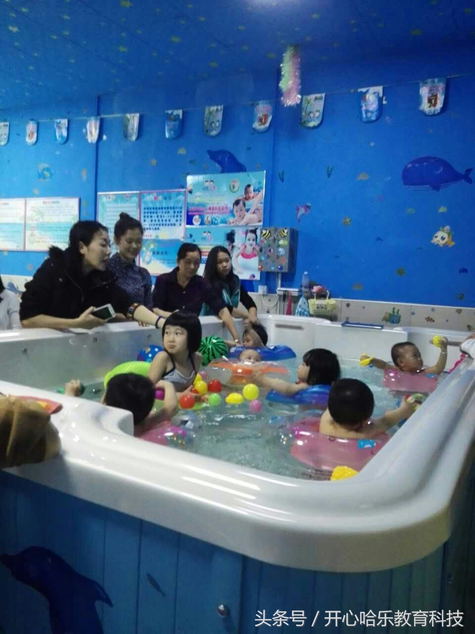 婴儿游泳馆加盟创业项目,想开婴儿游泳馆加盟哪个品牌