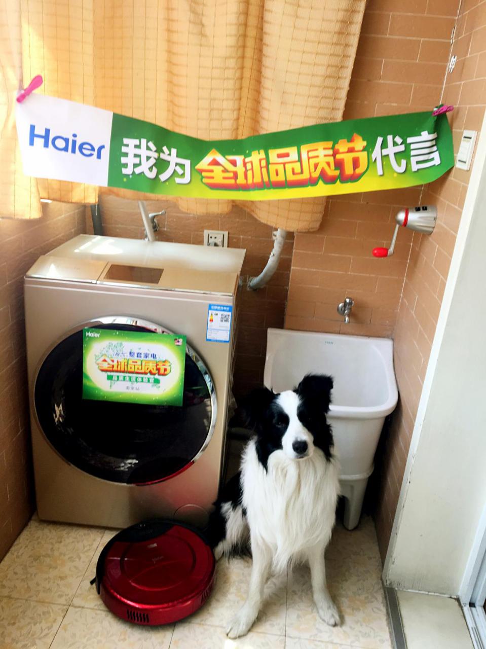 卡萨帝智慧洗衣,卡萨帝洗衣程序推荐